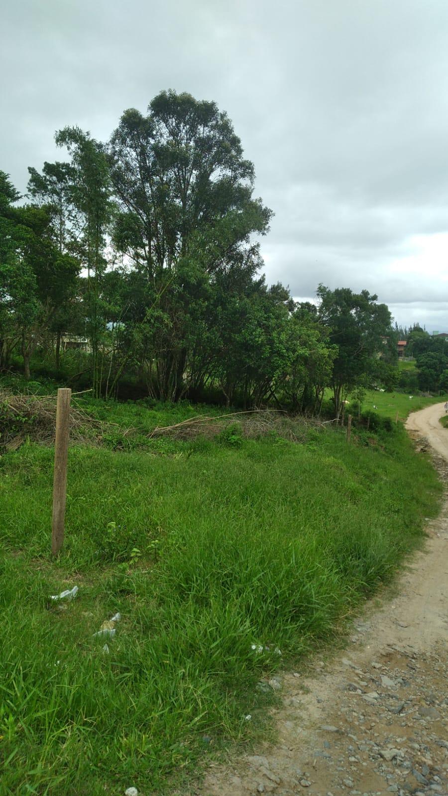 Terreno 450 m com matricula individual — foto 2