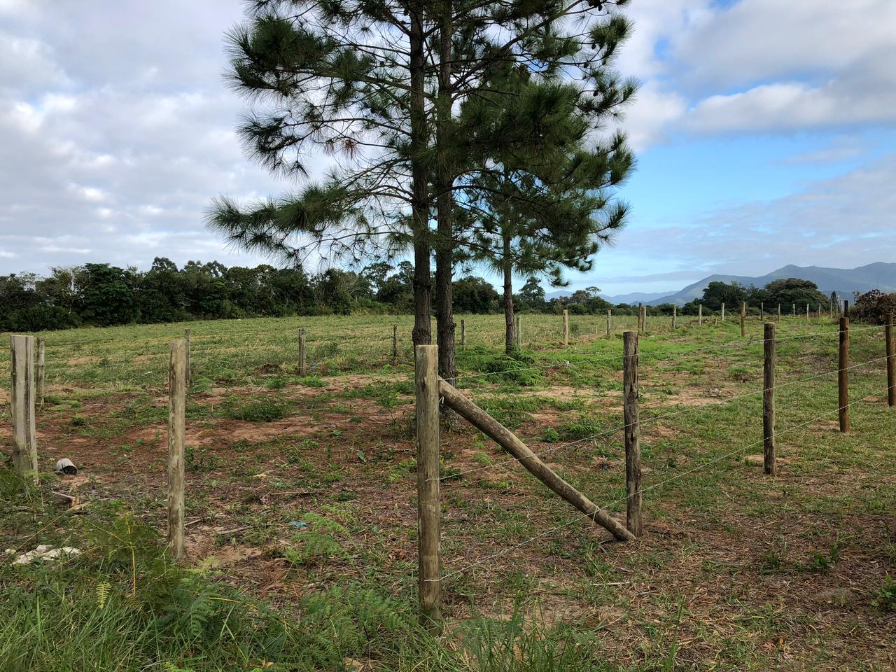 Terreno a venda na praia do rosa — foto 2