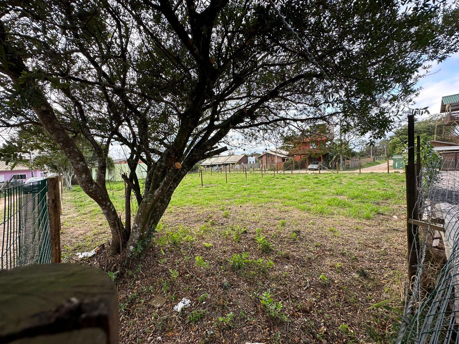 Terreno a venda na praia do rosa — foto 4