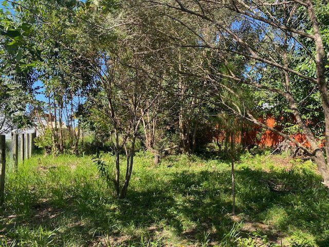 Terre bem Localizado no Rosa — foto 2