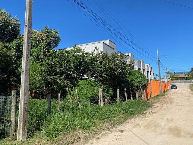 Terre bem Localizado no Rosa — foto 3