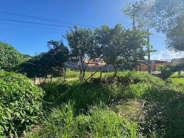 Terre bem Localizado no Rosa — foto 4