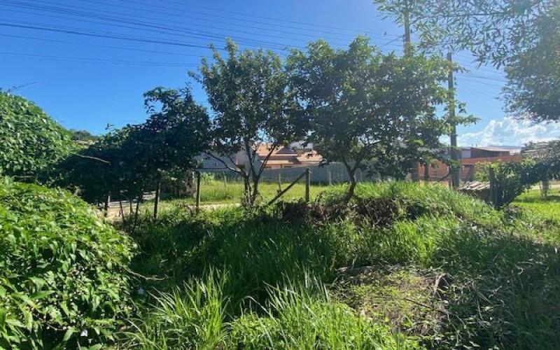 Terre bem Localizado no Rosa — foto 5