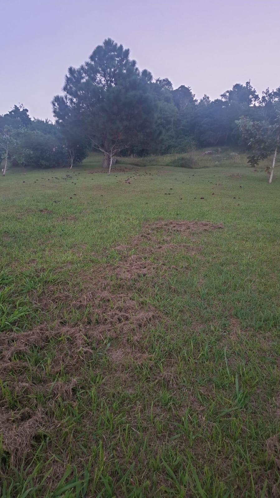 Melhor terreno de Garopaba — foto 4