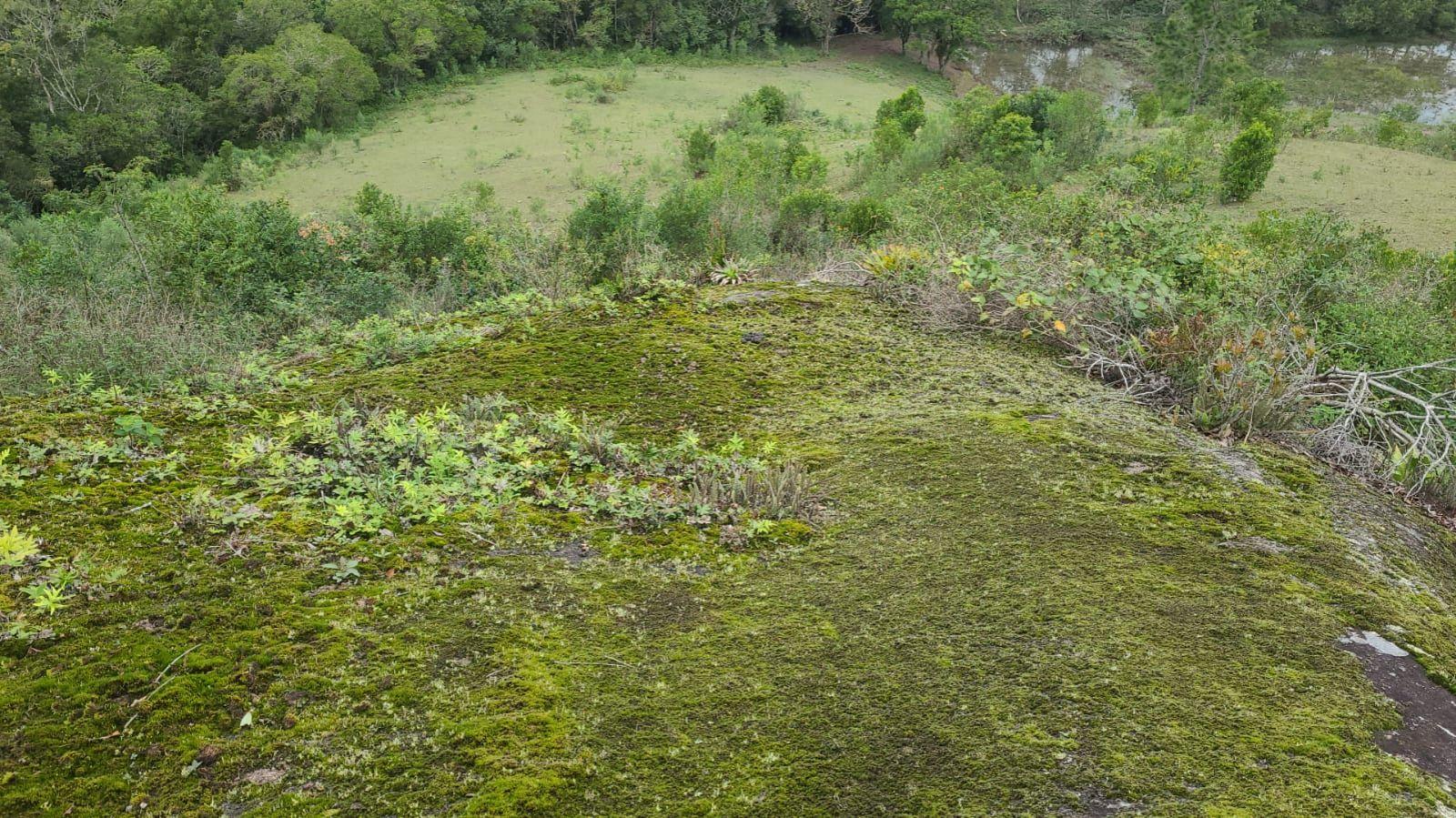 Terreno Arassatuba