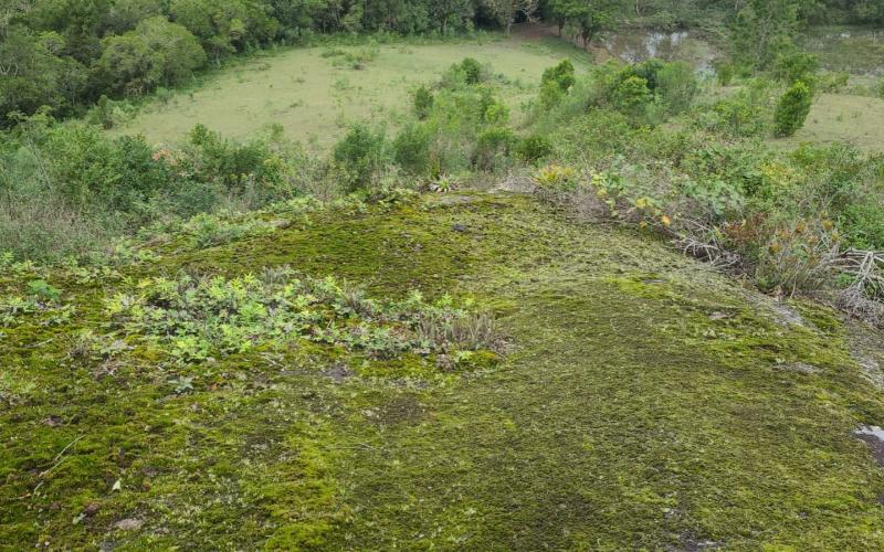 Terreno Arassatuba — foto 2