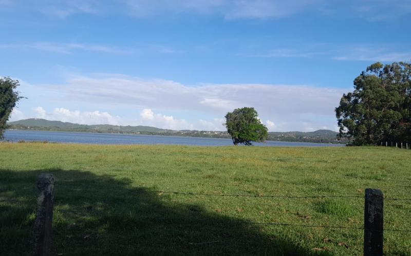 Terreno Frente Lagoa — foto 3