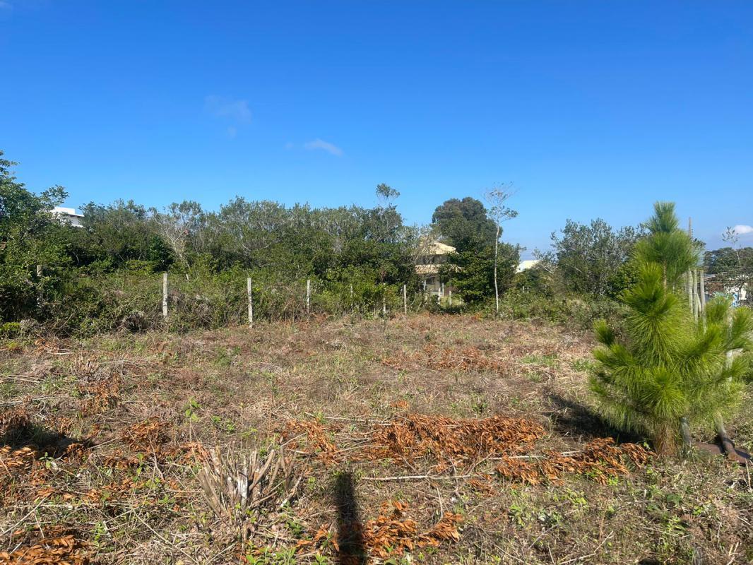 Terreno com matrícula no Rosa — foto 2