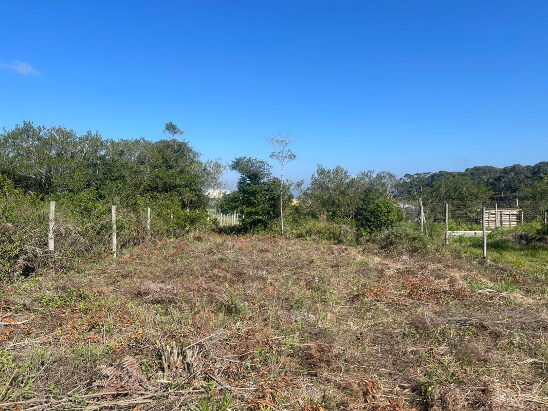 Terreno com matrícula no Rosa — foto 3