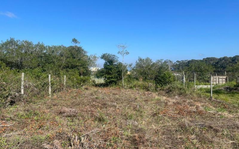 Terreno com matrícula no Rosa — foto 4