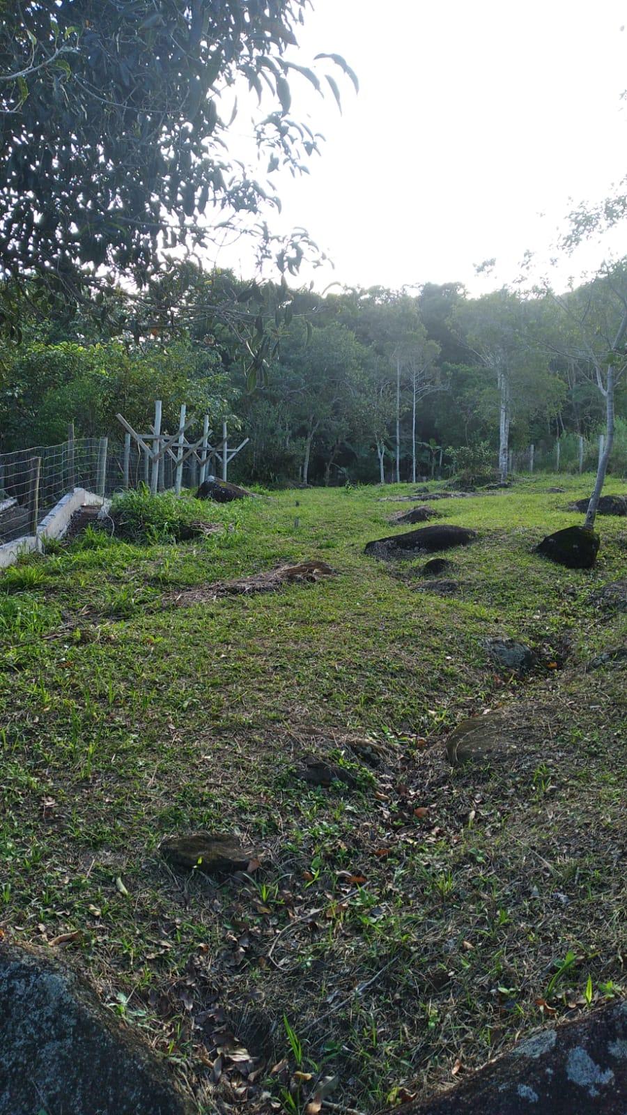 Terreno com vista total em Garopaba — foto 2