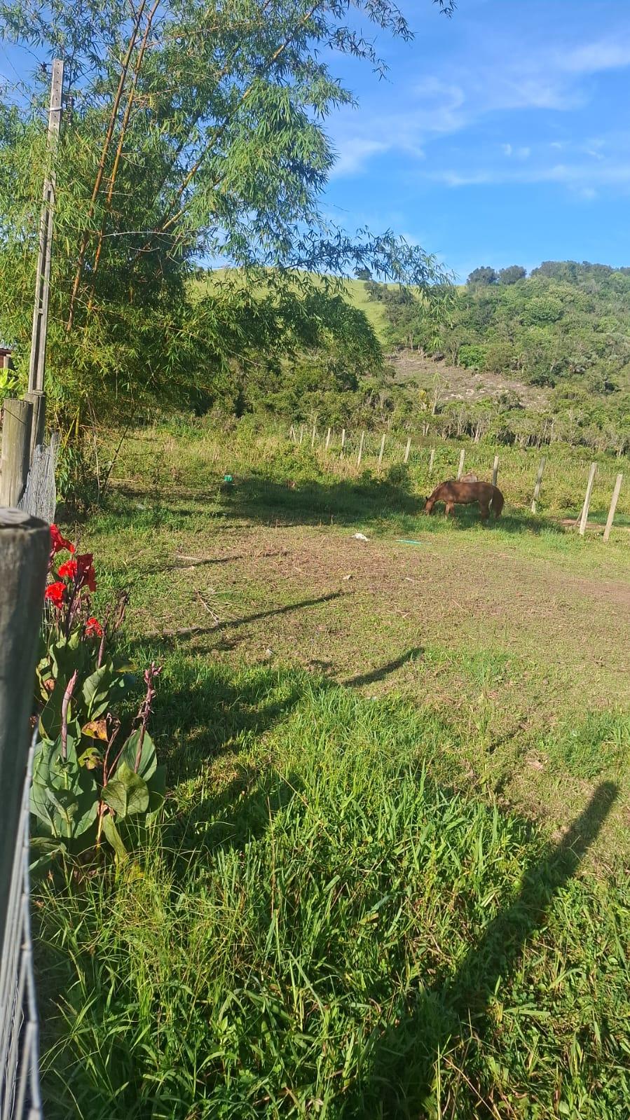 Terreno no rosa