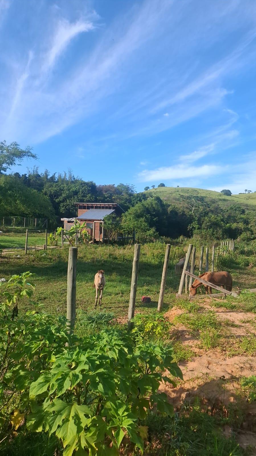 Terreno no rosa — foto 2