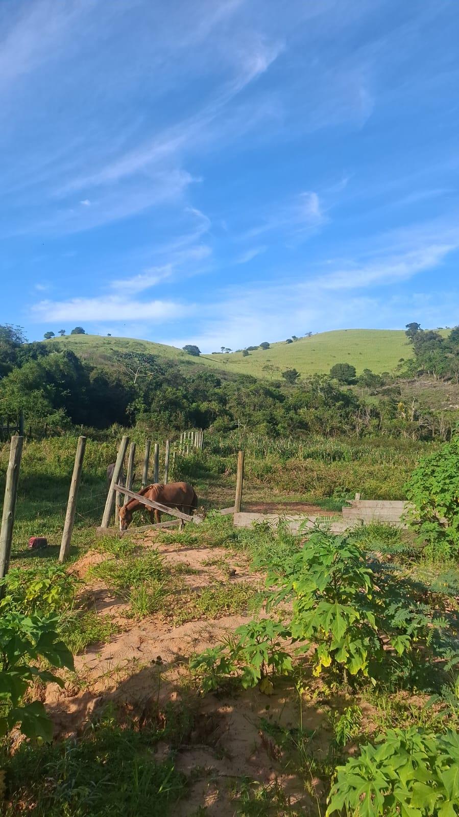 Terreno no rosa — foto 3