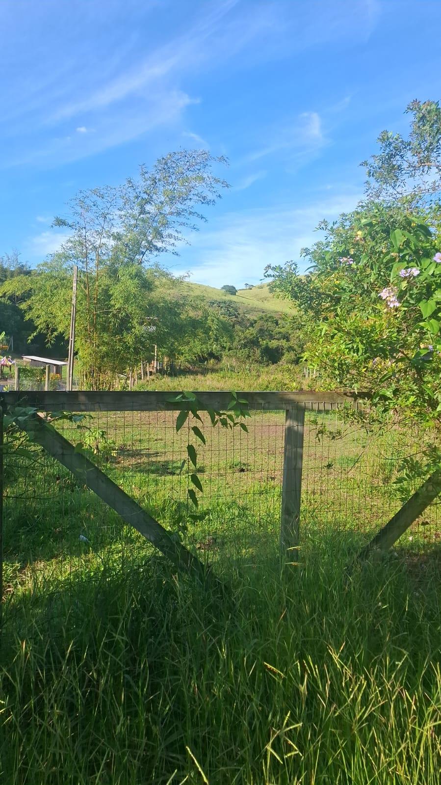 Terreno no rosa — foto 4