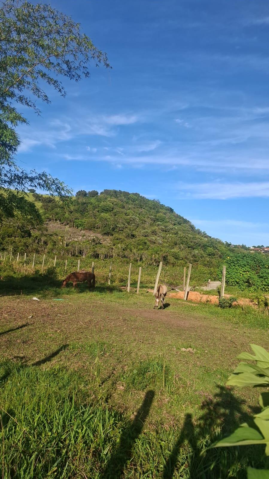 Terreno no rosa — foto 5