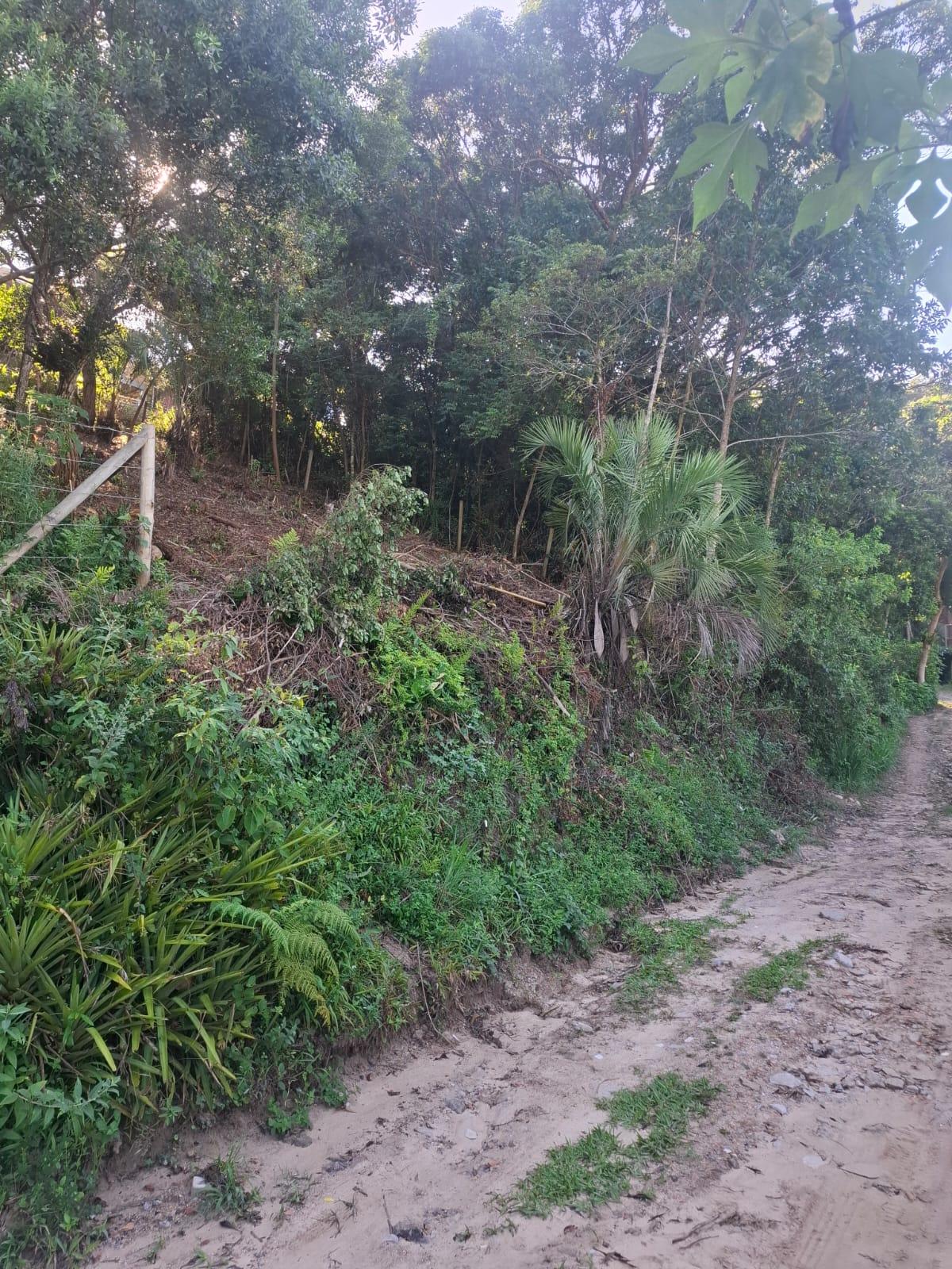 Terreno Charmoso No Rosa — foto 2