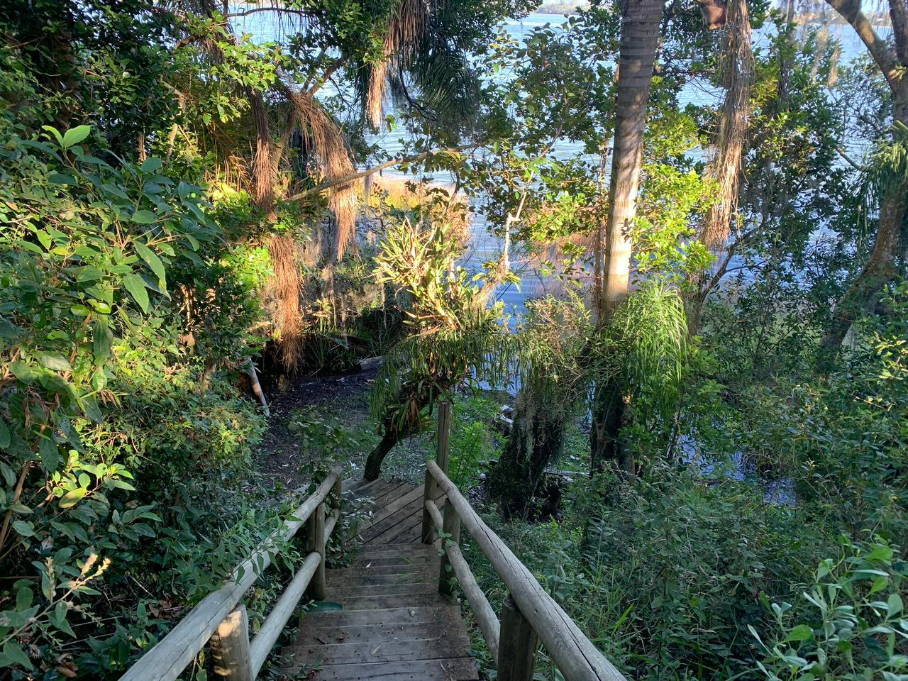 Terreno beira de lagoa — foto 3