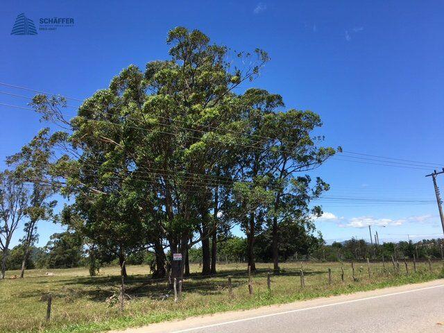 Àrea p loteamento beira de lagoa. — foto 3