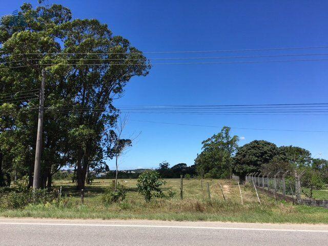 Àrea p loteamento beira de lagoa. — foto 4