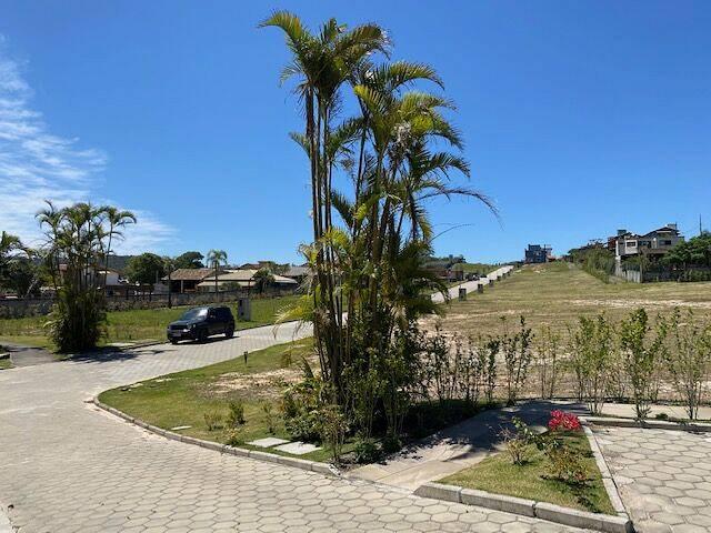 Terreno em condomínio no Rosa — foto 5