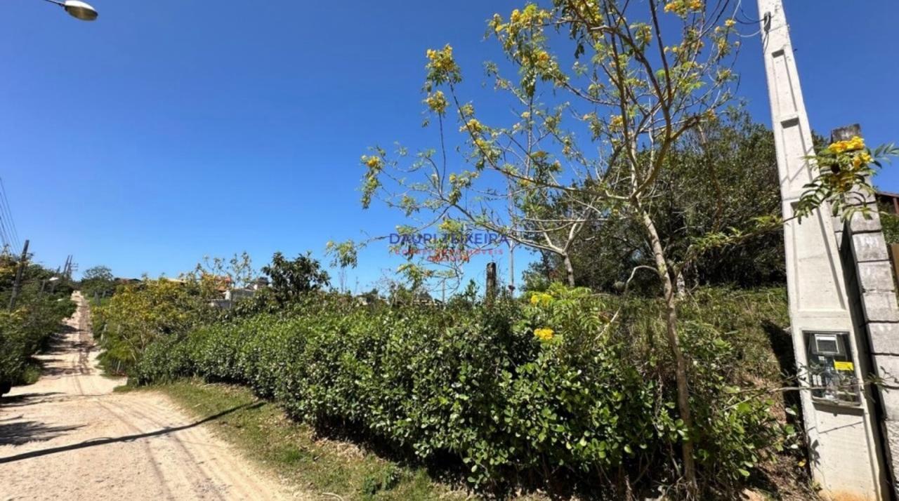 Terreno no Rosa — foto 2
