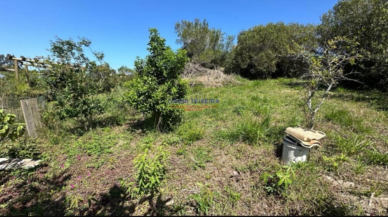 Terreno no Rosa — foto 3