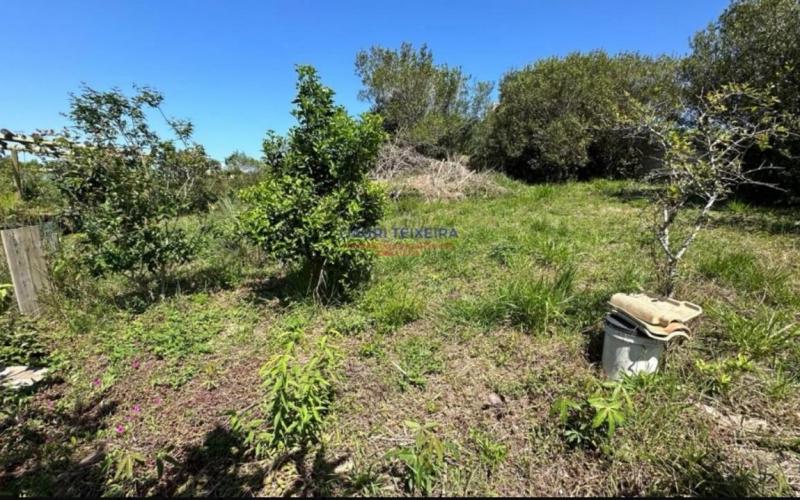 Terreno no Rosa — foto 4