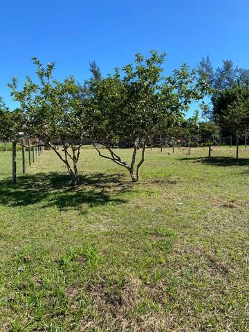 Terreno na praia do Rosa