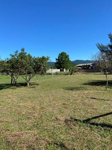 Terreno na praia do Rosa — foto 2