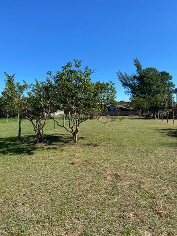 Terreno na praia do Rosa — foto 4