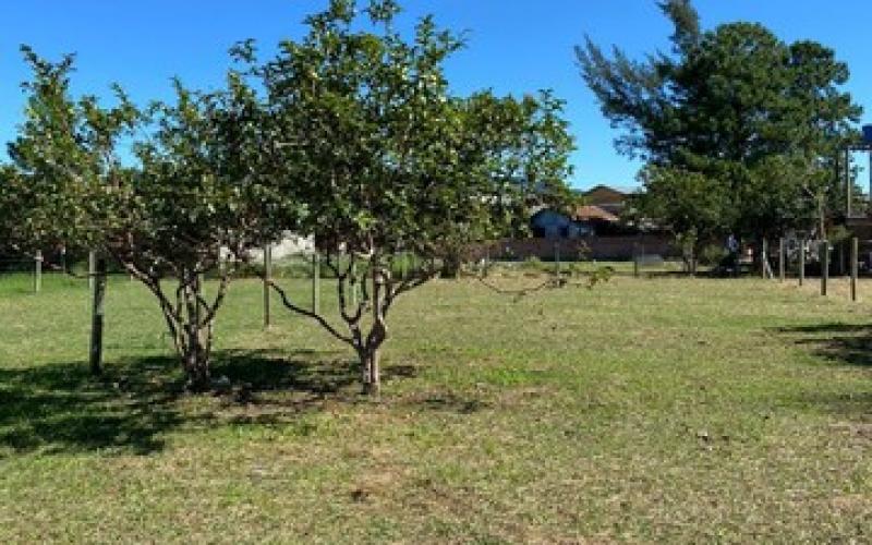 Terreno na praia do Rosa — foto 5