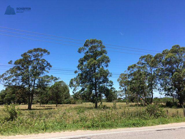 Àrea Beira de Lagoa — foto 3