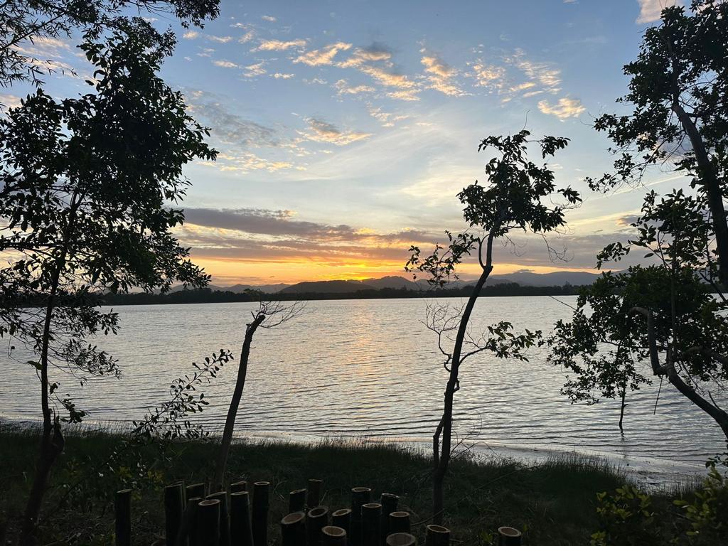 Beira de Lagoa No rosa