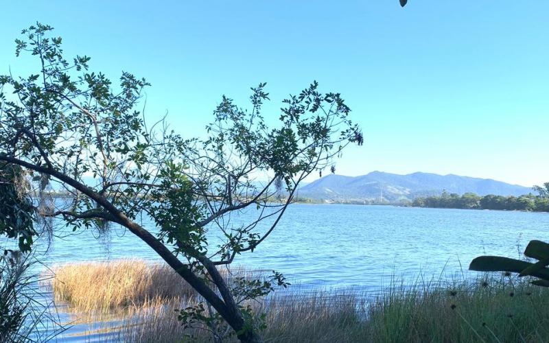 Terreno beira de lagoa