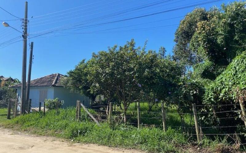 Terre bem Localizado no Rosa